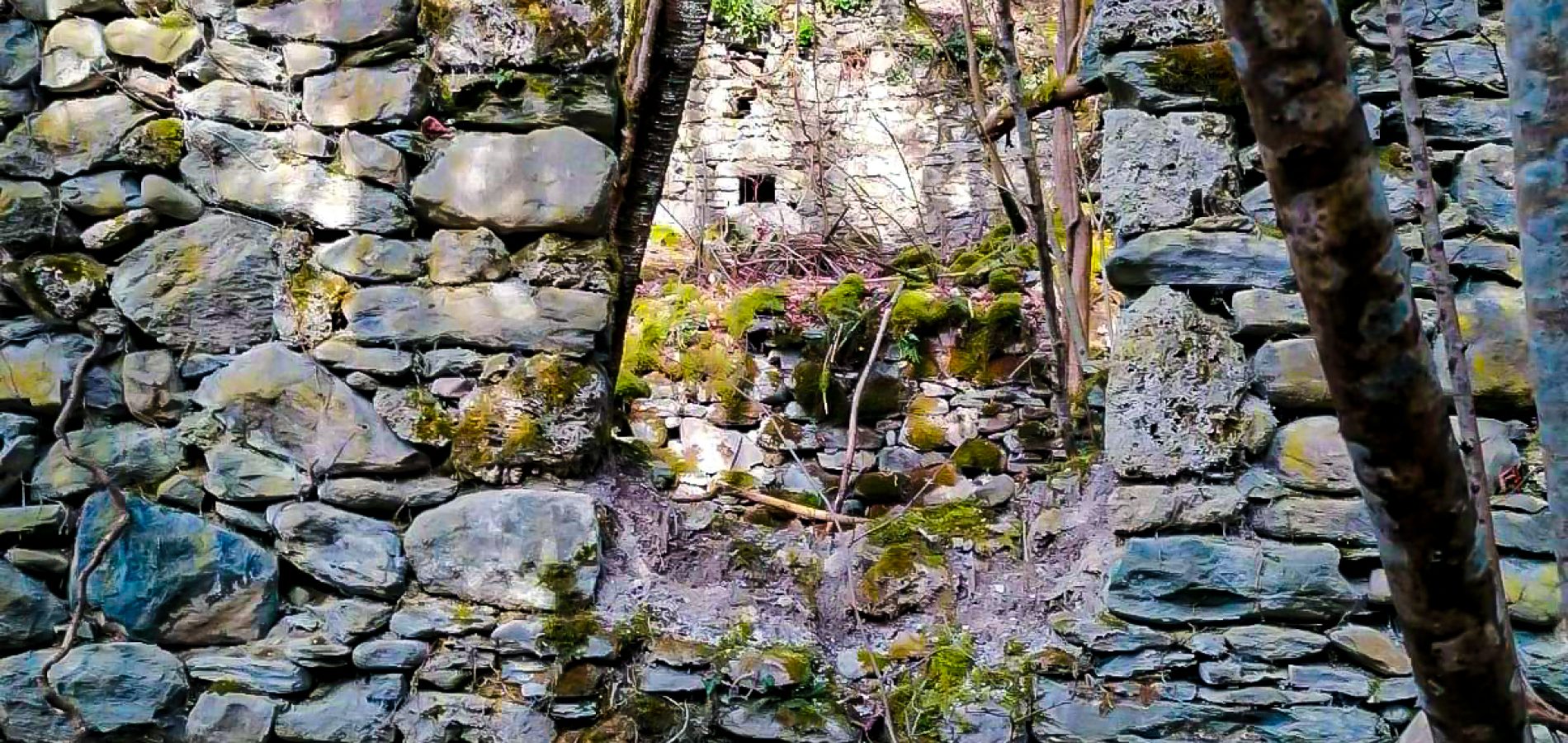 Chez_Lorson_001_24 novembre 2025