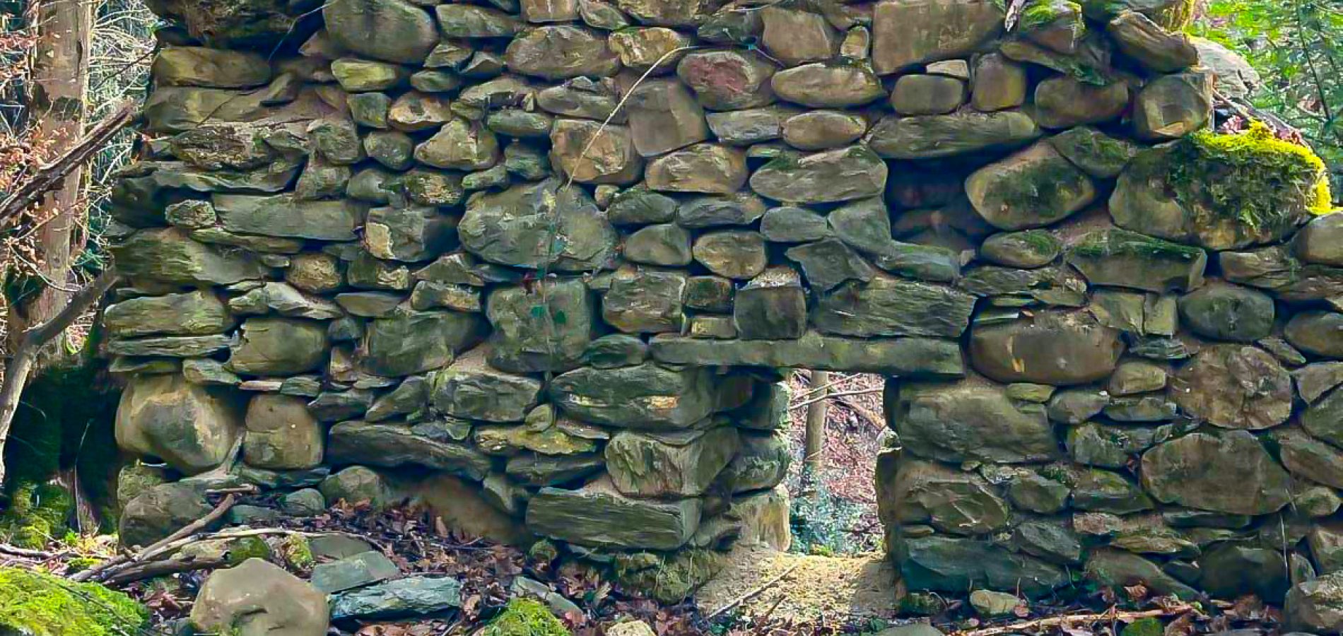 Chez_Lorson_002_24 novembre 2025