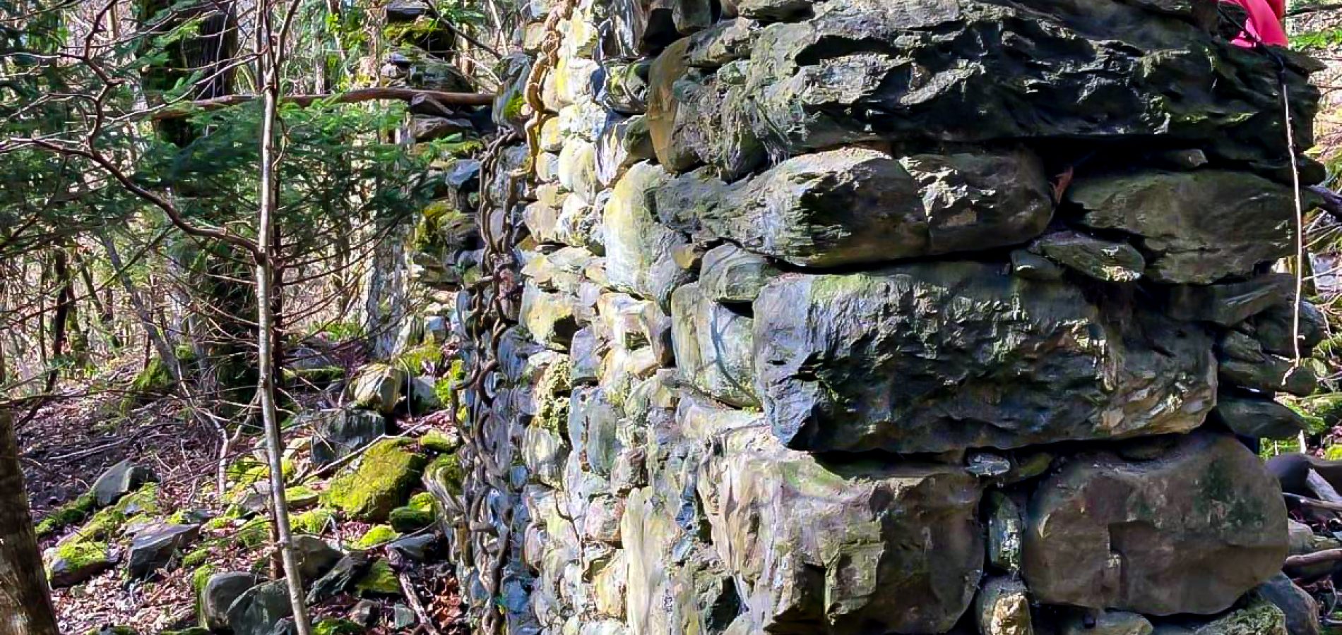 Chez_Lorson_003_24 novembre 2025