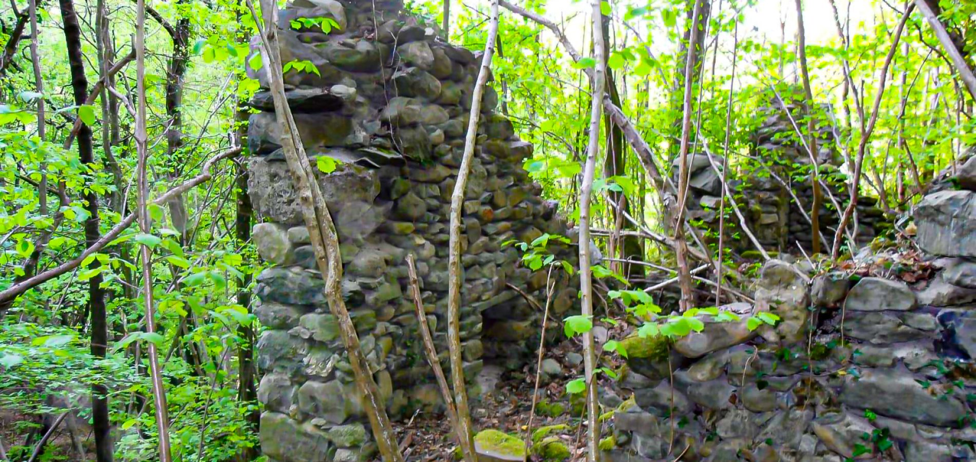 Chez_Lorson_004_24 novembre 2025