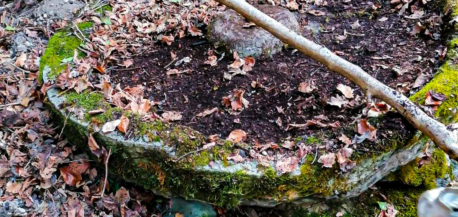 Chez_Lorson_005_24 novembre 2025