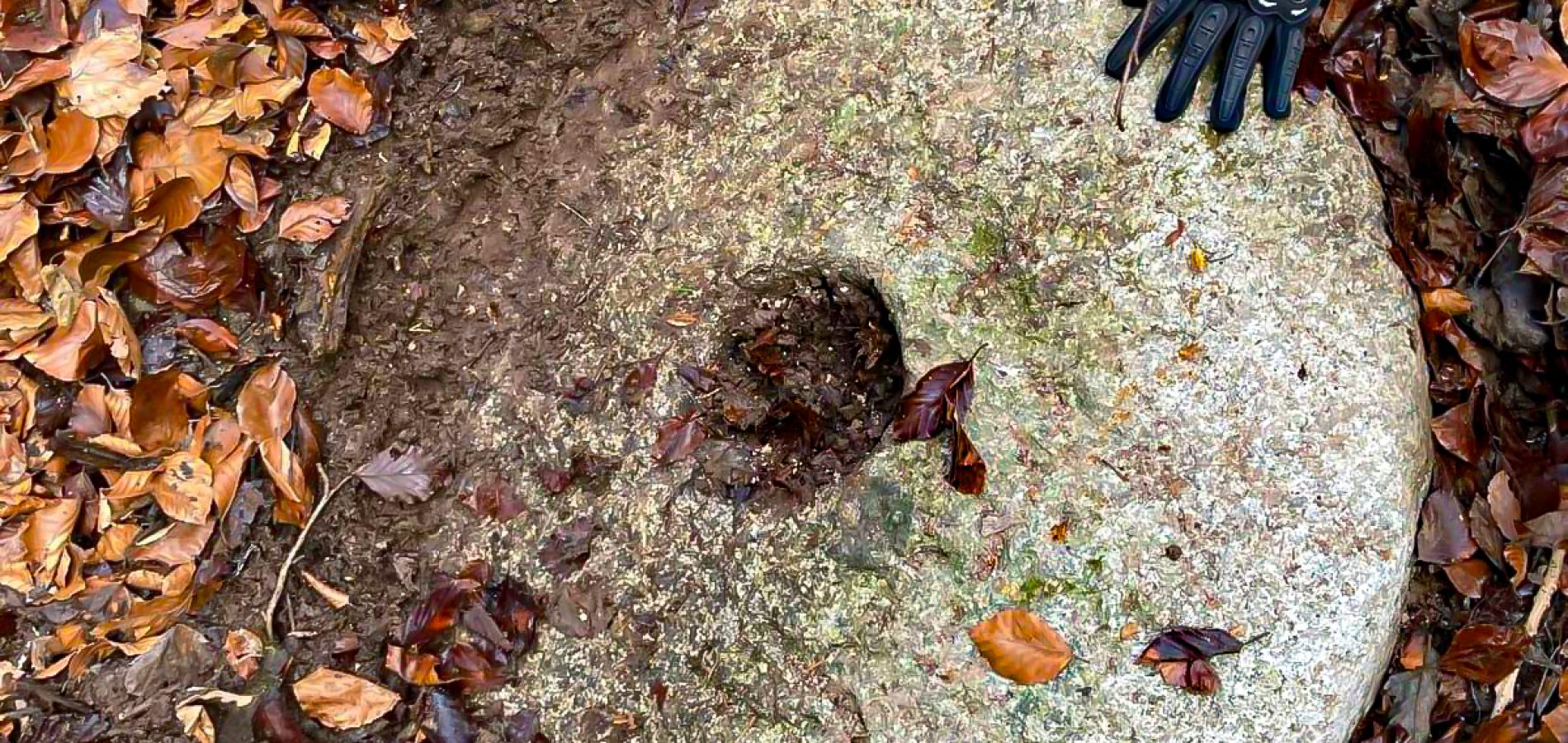 Chez_Lorson_007_24 novembre 2025