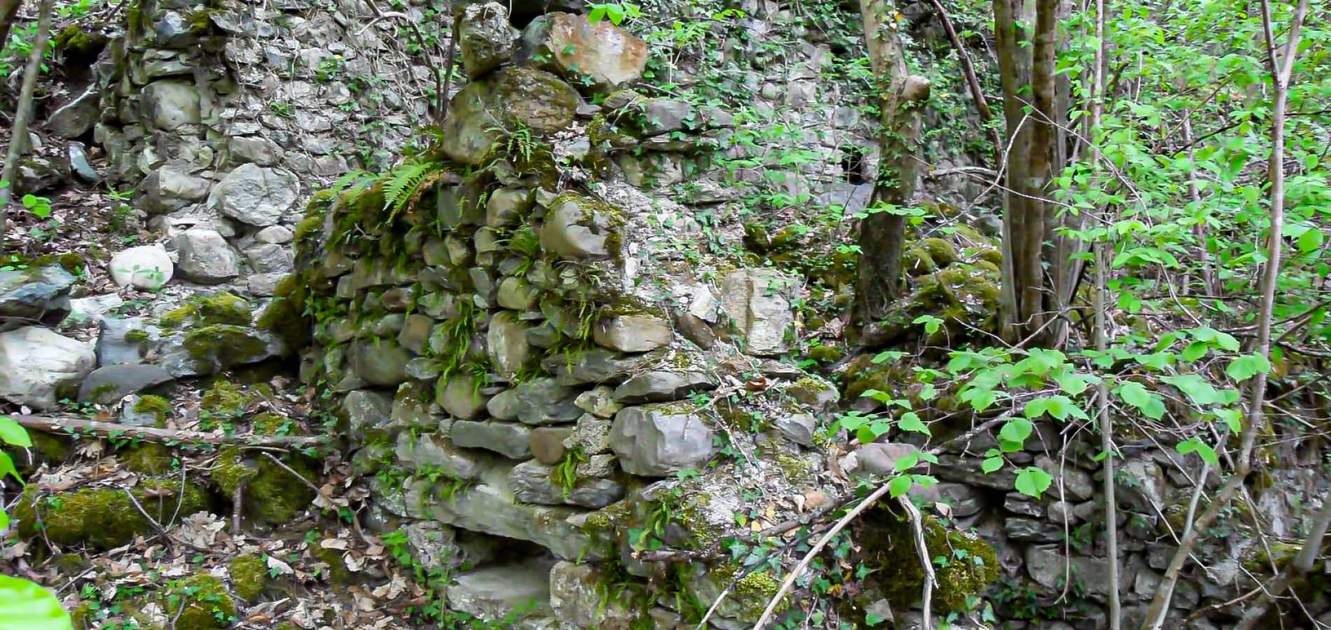 Chez_Lorson_010_24 novembre 2025